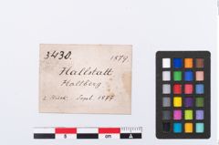 Etikett zu Bronzepickelspitze (NHMW-PRAE-003430)